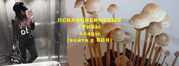 МДПВ Абаза