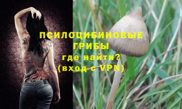прущие крисы Абдулино
