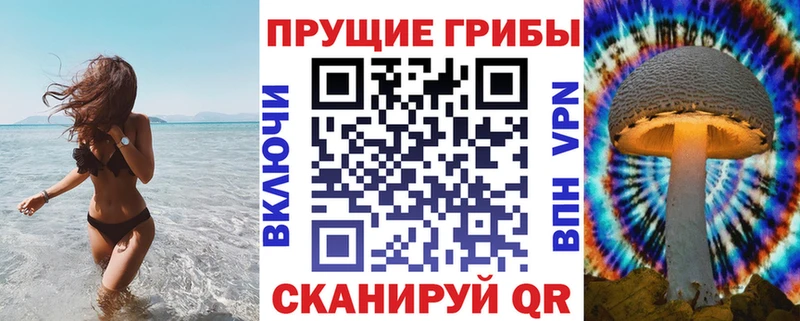 Галлюциногенные грибы Psilocybine cubensis  купить   kraken зеркало  Приморско-Ахтарск 